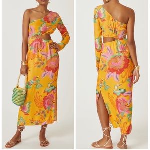 Farm Rio dress!